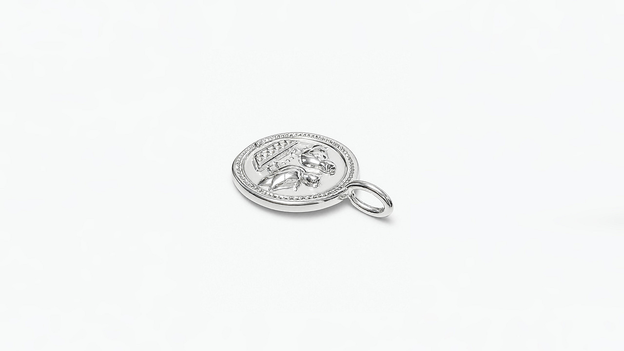Ancient coin pendant birds - view 3